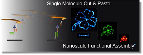 single molecule c&p
