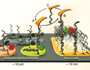 single_molecule