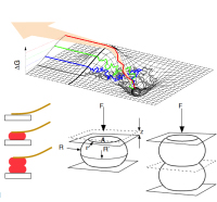 forcespectrosc