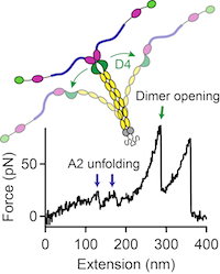 2015-pnas_mueller