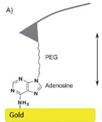 chemmedchem