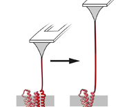 grafik science perspective