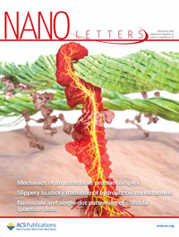 nanolettcover_small